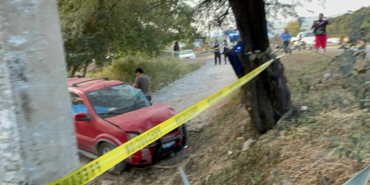 Muere conductor al estrellarse contra árbol