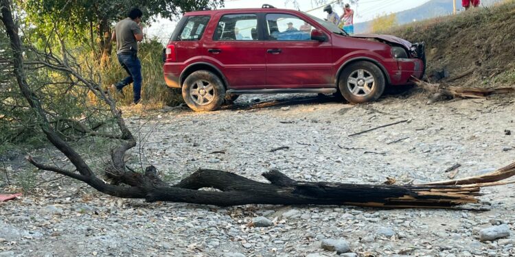 Muere conductor al estrellarse contra árbol