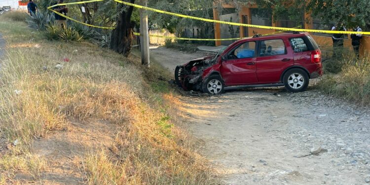 Muere conductor al estrellarse contra árbol