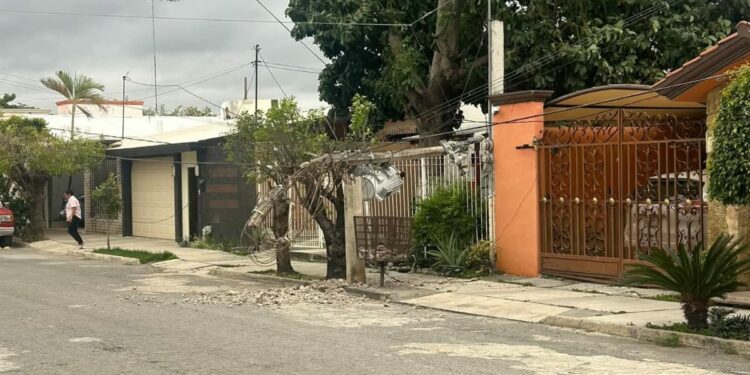 Saldo de daños en Victoria: Vientos del Frente Frío 25 derriban árboles, postes y semáforos
