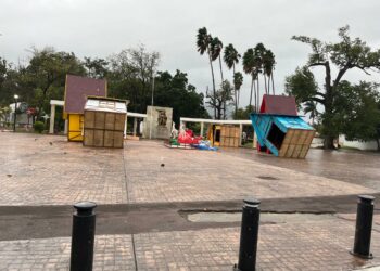 Saldo de daños en Victoria: Vientos del Frente Frío 25 derriban árboles, postes y semáforos