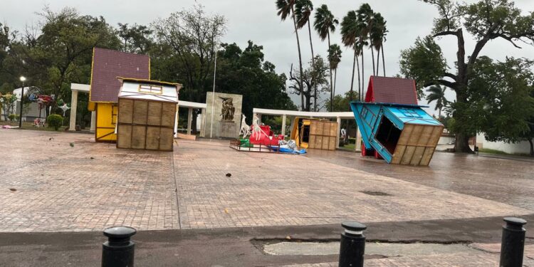 Saldo de daños en Victoria: Vientos del Frente Frío 25 derriban árboles, postes y semáforos