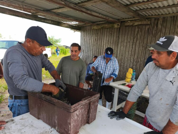Refuerzan acciones de sanidad en unidades de producción acuícola en Soto la Marina