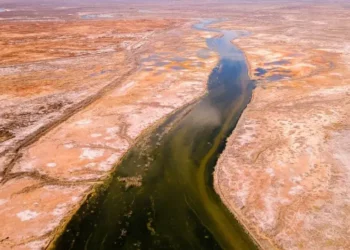 EU anuncia que México entregará 250 millones de metros cúbicos de la deuda de agua del río Bravo