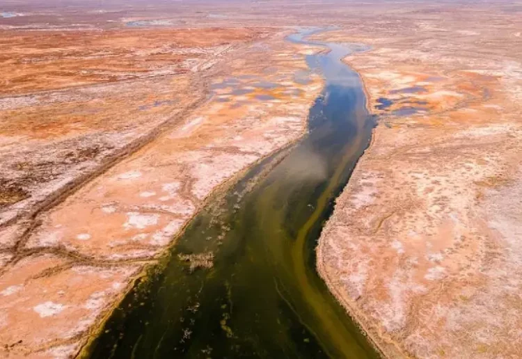 EU anuncia que México entregará 250 millones de metros cúbicos de la deuda de agua del río Bravo