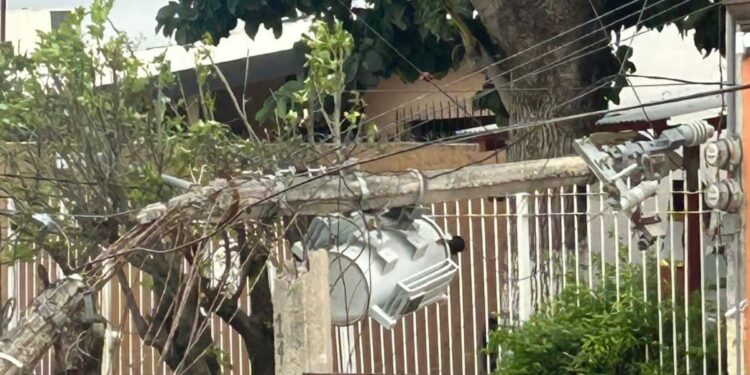 Saldo de daños en Victoria: Vientos del Frente Frío 25 derriban árboles, postes y semáforos