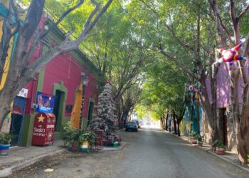 Particulares alientan espíritu navideño al iluminar viviendas y calles en Cd. Victoria