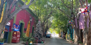 Particulares alientan espíritu navideño al iluminar viviendas y calles en Cd. Victoria