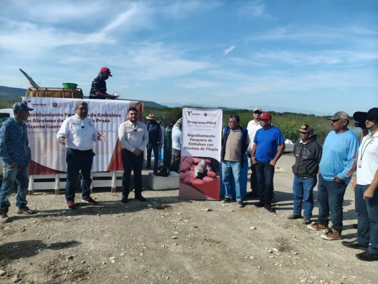 Presas de Tamaulipas reciben alevines para impulsar la pesca comercial