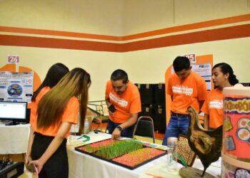 Produce la UAT forraje hidropónico del sorgo y maíz