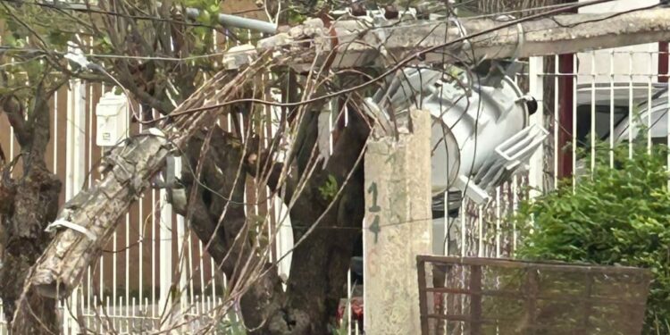 Saldo de daños en Victoria: Vientos del Frente Frío 25 derriban árboles, postes y semáforos