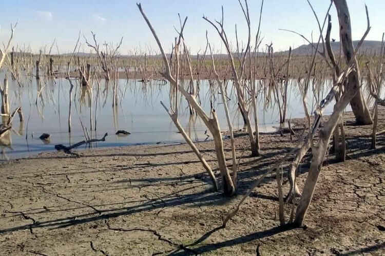 Alerta en Tamaulipas: Sequía se intensifica pese a tregua pluvial en el resto del país