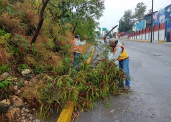 Basura en las calles, causa principal de inundaciones por lluvias del domingo: PC