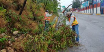 Basura en las calles, causa principal de inundaciones por lluvias del domingo: PC