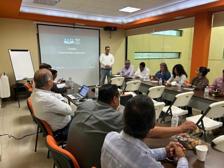 Impulsan SADER y FIRA nuevos créditos para productores de sorgo en Tamaulipas