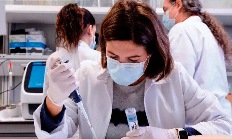 Alemania pierde talento por emigración creciente