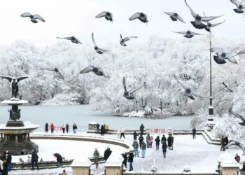 La Gran Manzana despierta cubierta de nieve
