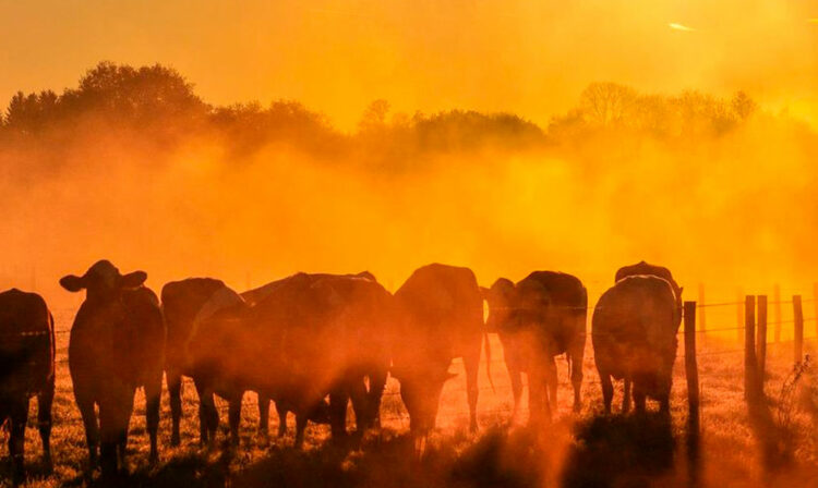 2025 será el segundo año más cálido del planeta