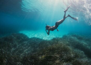 Cómo disfrutar el mejor snorkel Cancún Isla Mujeres