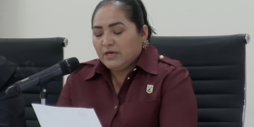 Proponen reforzar protección de fauna silvestre menor