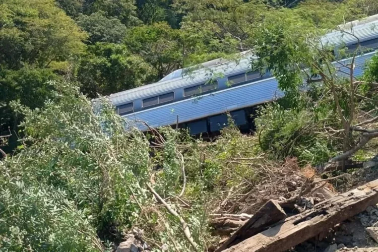 Tren con más de 240 pasajeros se accidenta en Oaxaca