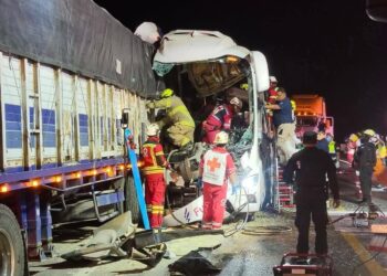 Trágico diciembre: Accidentes carreteros cobran 17 vidas