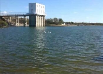 Sed en el campo tamaulipeco: Denuncian entrega de agua a Texas mientras el Distrito 025 agoniza