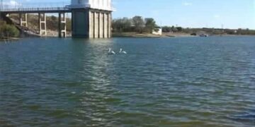 Sed en el campo tamaulipeco: Denuncian entrega de agua a Texas mientras el Distrito 025 agoniza