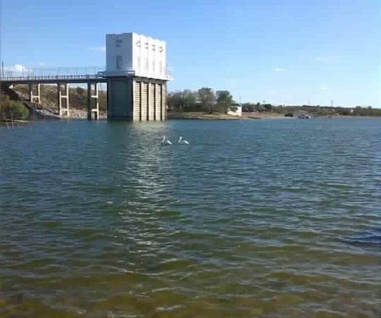 Sed en el campo tamaulipeco: Denuncian entrega de agua a Texas mientras el Distrito 025 agoniza