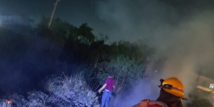 Racha de incendios en Victoria, bomberos logran sofocarlos