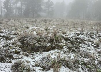 Cae aguanieve en la sierra de Galeana, Nuevo León con el frente frío 27