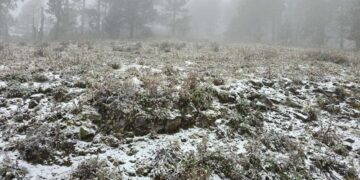 Cae aguanieve en la sierra de Galeana, Nuevo León con el frente frío 27