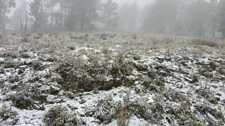 Cae aguanieve en la sierra de Galeana, Nuevo León con el frente frío 27