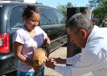 Vacunarán contra la rabia a 300 mil perros y gatos en Tamaulipas de enero a mayo