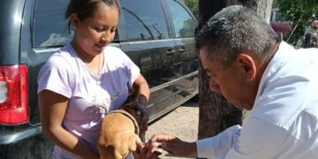 Vacunarán contra la rabia a 300 mil perros y gatos en Tamaulipas de enero a mayo