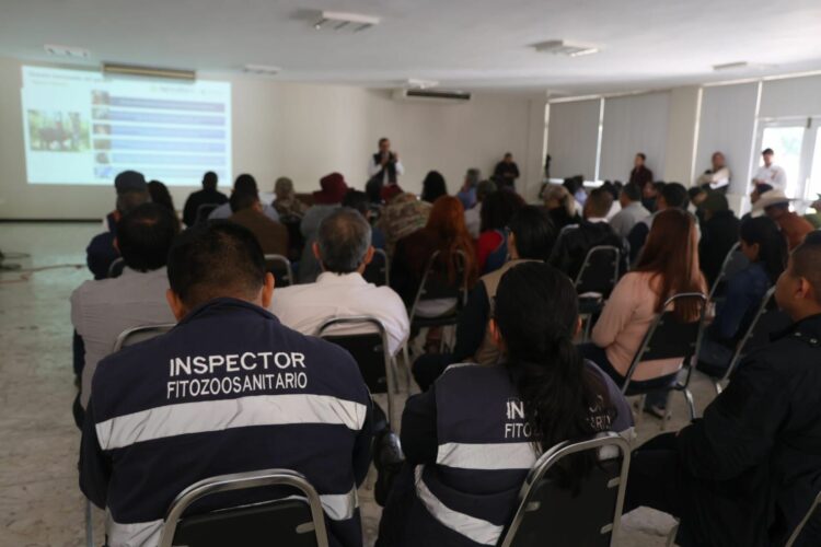 Capacitación permanente, clave para prevenir el Gusano Barrenador del Ganado en Tamaulipas