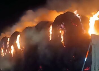 Cierre parcial de la Carretera Victoria-Matamoros, se quema tráiler en Jiménez