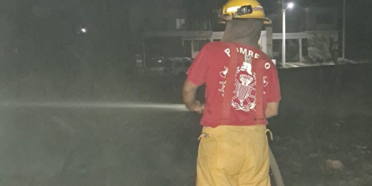Racha de incendios en Victoria, bomberos logran sofocarlos