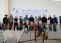 Caprinocultura y valor agregado, ejes del Festival del Cabrito 2026 en Tula, Tamaulipas
