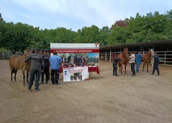 Implementa Guardia Estatal campaña permanente contra gusano barrenador en animales policiales