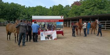 Implementa Guardia Estatal campaña permanente contra gusano barrenador en animales policiales