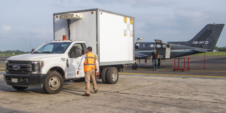 Liberan moscas estériles para contener al Gusano Barrenador del Ganado en Tamaulipas, Veracruz y San Luis Potosí