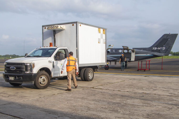 Liberan moscas estériles para contener al Gusano Barrenador del Ganado en Tamaulipas, Veracruz y San Luis Potosí