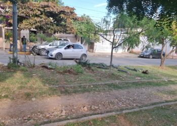 Dos lesionados en choque de pick up que cruzó camellón en el Portes Gil