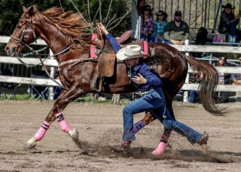 Olimpiada Estatal de Tamaulipas: Sedes y actividad del fin de semana