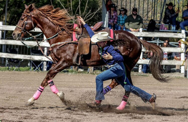 Olimpiada Estatal de Tamaulipas: Sedes y actividad del fin de semana