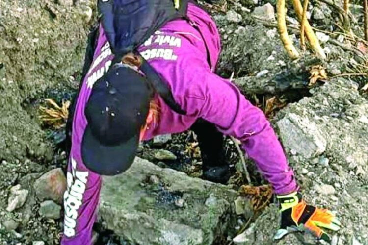 Hallan fosa con 13 cadáveres humanos apilados en Villagrán, Guanajuato 