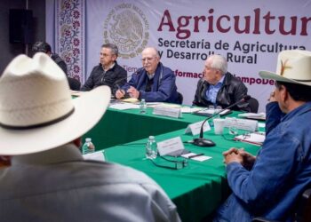 Secretario de Agricultura y gobernador evaluarán este sábado acciones contra Gusano Barrenador en Tampico, Tamaulipas