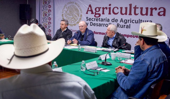 Secretario de Agricultura y gobernador evaluarán este sábado acciones contra Gusano Barrenador en Tampico, Tamaulipas