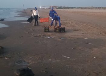 Conibio reporta caso de tortura contra canina hallada en Playa Bagdad